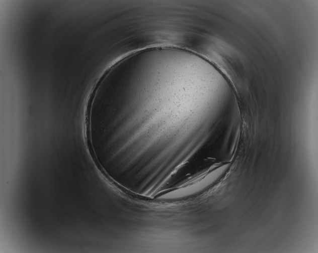 X0000088451143200705291508