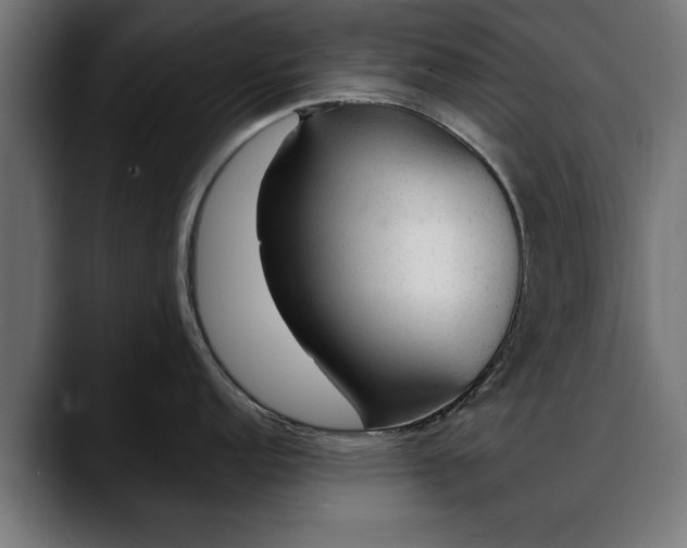 X0000088451152200705291508