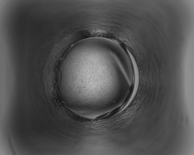 X0000088451153200705291507