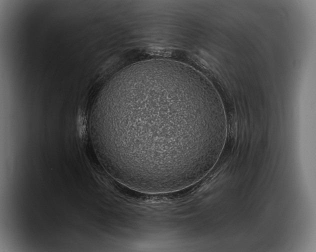 X0000088451154200705291507