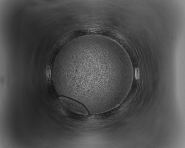 X0000088451155200705291507
