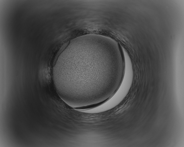 X0000088451156200705291507