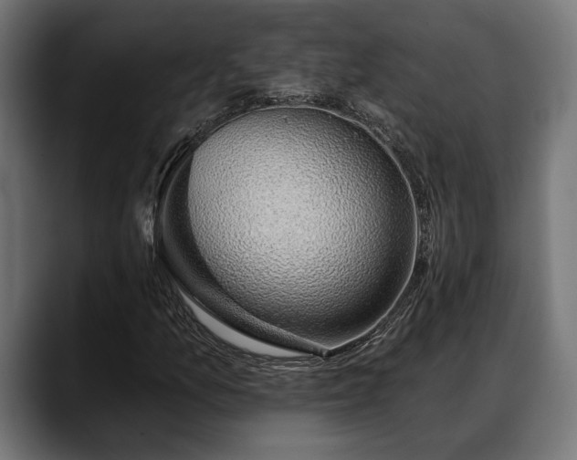 X0000088451157200705291507