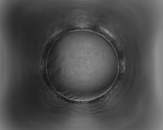 X0000088451158200705291507