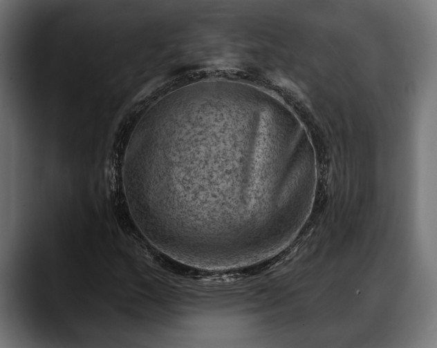 X0000088451159200705291507