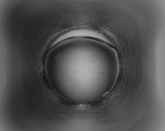 X0000088451160200705291507
