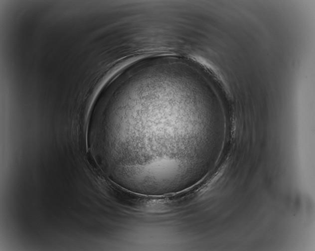 X0000088451161200705291507