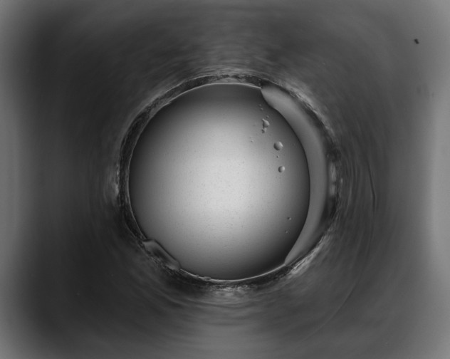 X0000088451165200705291507