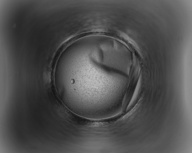 X0000088451166200705291507