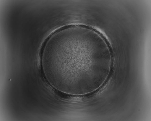X0000088451167200705291507