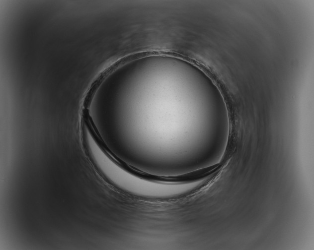 X0000088451168200705291507