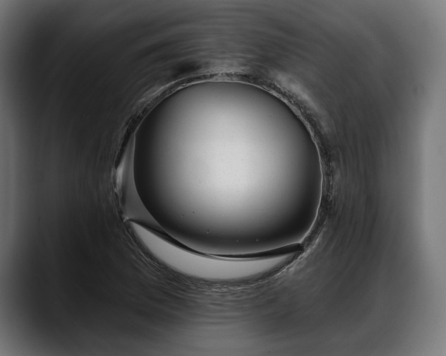 X0000088451169200705291507