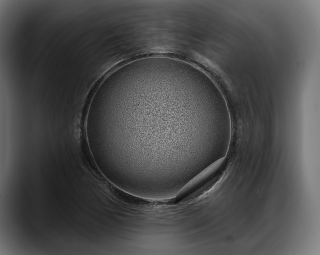 X0000088451170200705291507
