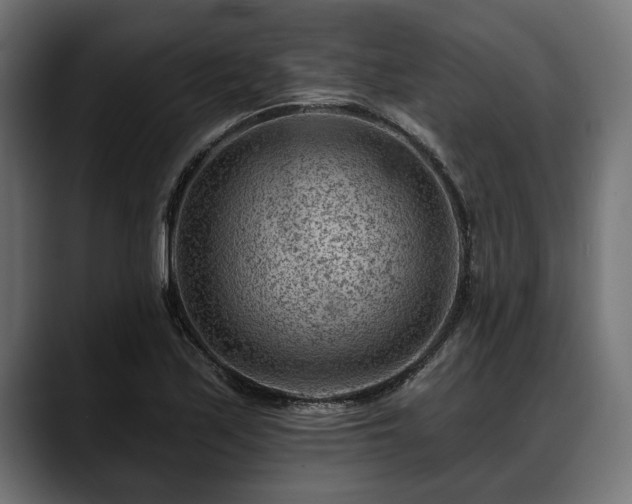 X0000088451171200705291507