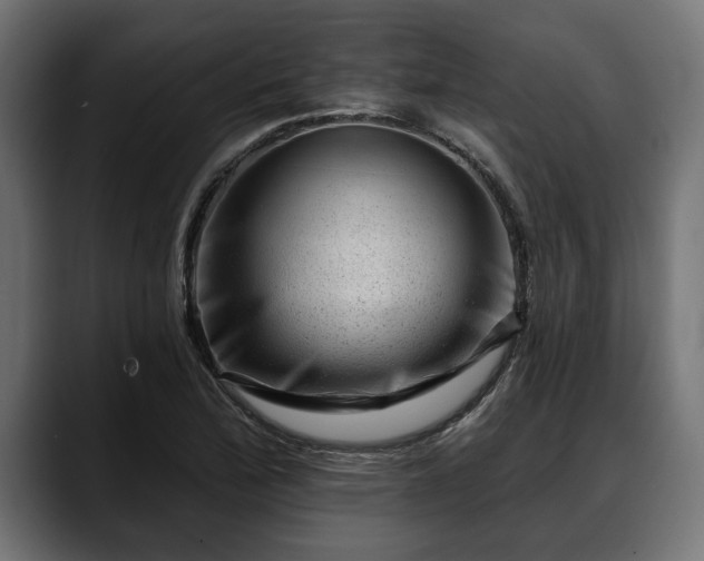 X0000088451172200705291507
