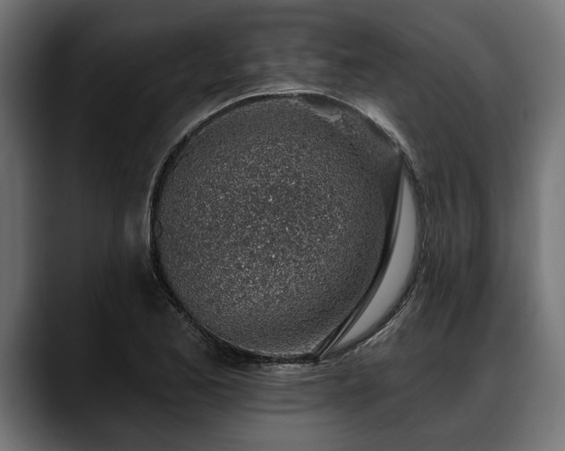 X0000088451173200705291507