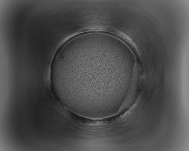 X0000088451174200705291507