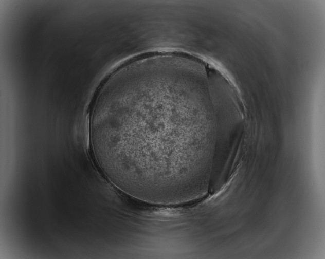 X0000088451175200705291507