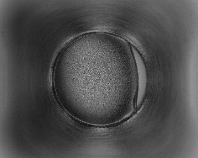 X0000088451180200705291507