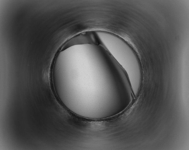 X0000088451181200705291507