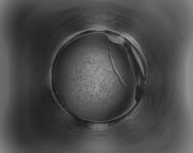 X0000088451183200705291507