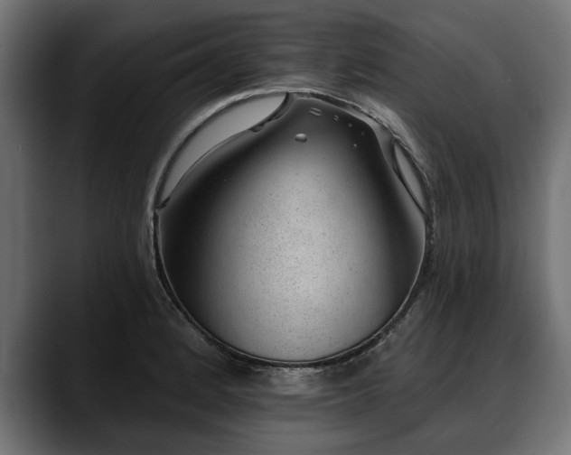 X0000088451184200705291507