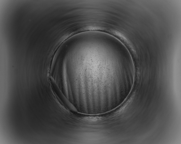 X0000088451185200705291507