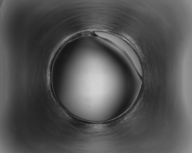 X0000088451188200705291507