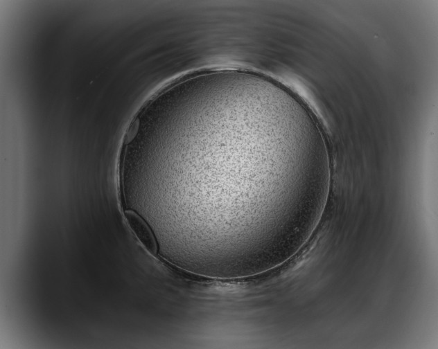 X0000088451191200705291507