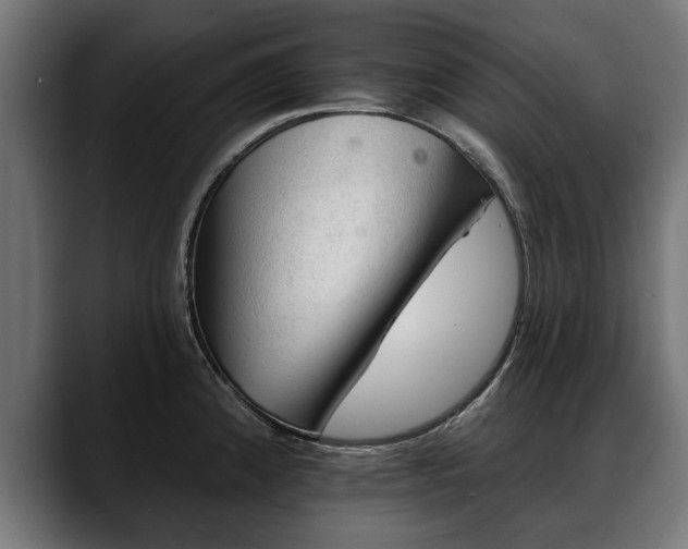 X0000088451192200705291507