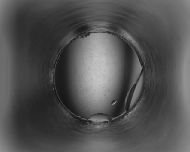 X0000088451193200705291507