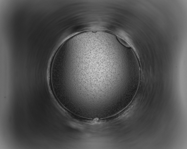 X0000088451195200705291507