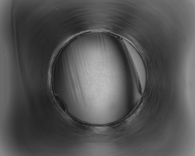 X0000088451196200705291507