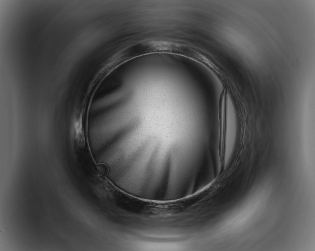 X0000088451198200705291507