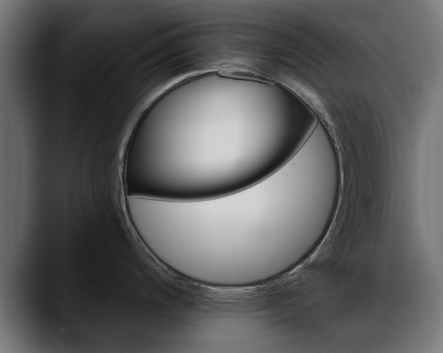 X0000088451200200705291507