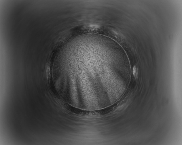 X0000088451203200705291506