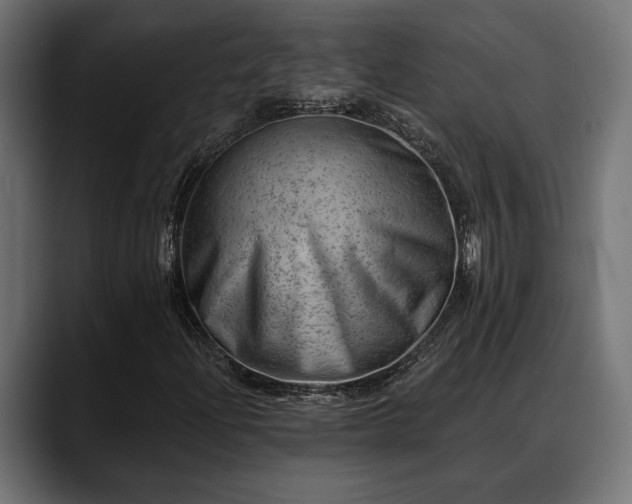 X0000088451204200705291506