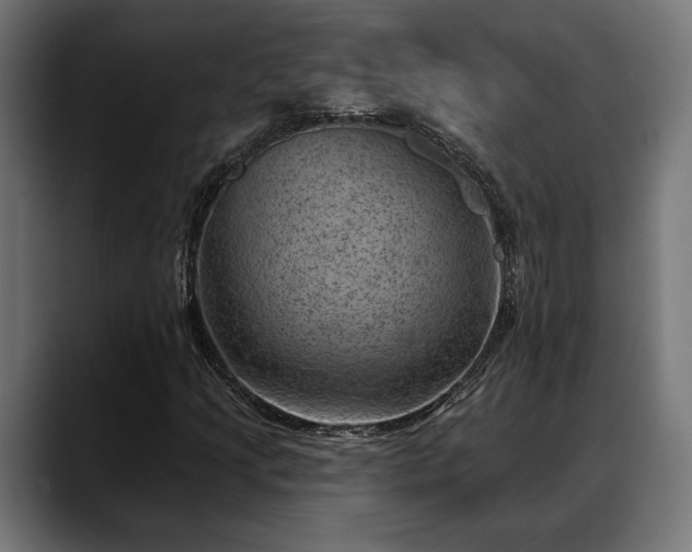 X0000088451205200705291506