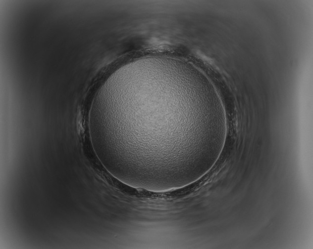 X0000088451206200705291506