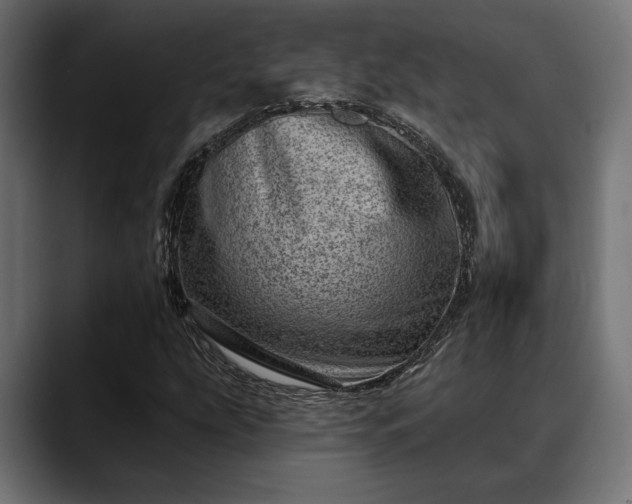 X0000088451207200705291506