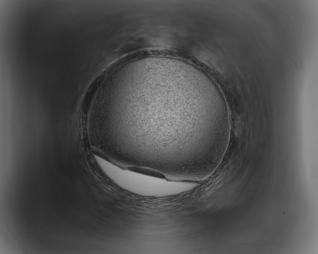 X0000088451208200705291506