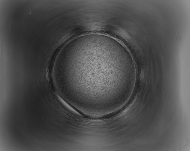 X0000088451209200705291506