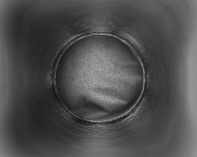 X0000088451212200705291506