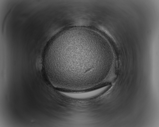 X0000088451213200705291506