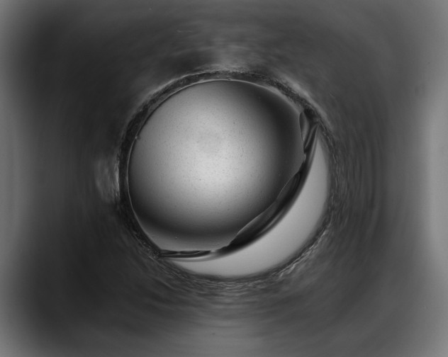 X0000088451214200705291506