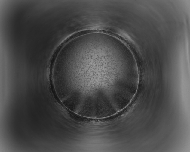 X0000088451216200705291506