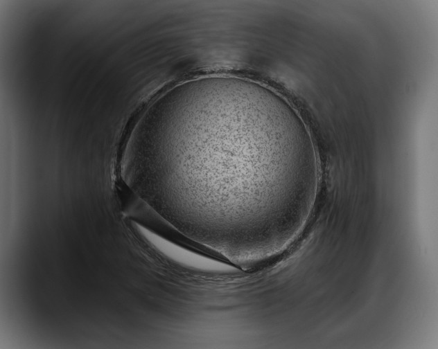 X0000088451217200705291506