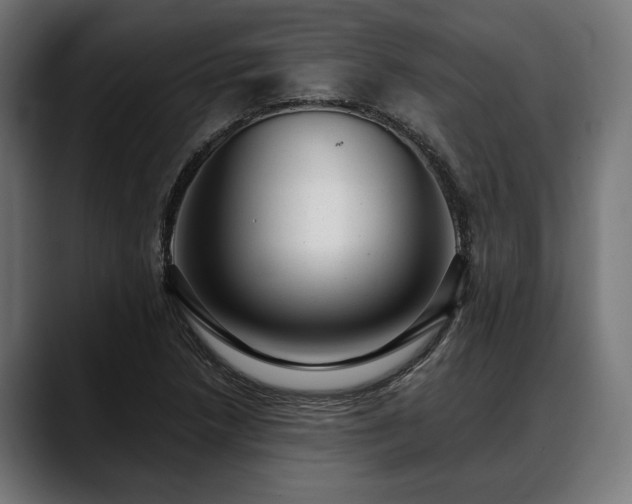 X0000088451218200705291506