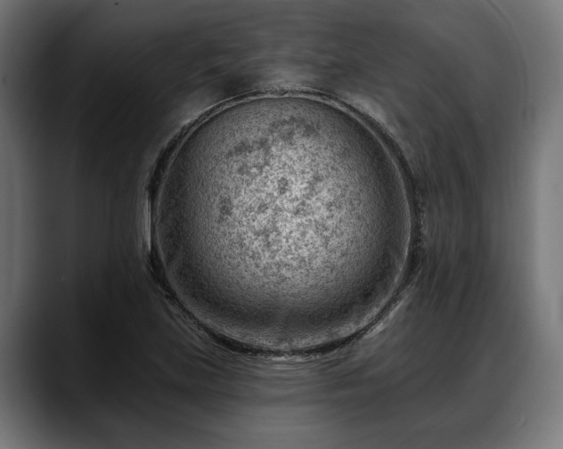 X0000088451219200705291506