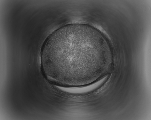 X0000088451221200705291506